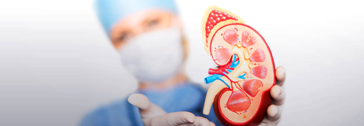 Kidney diseases