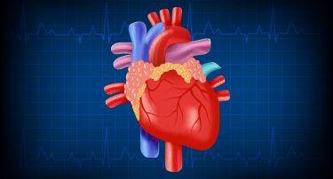 Is Heart Valve Repair surgery a risky procedure?