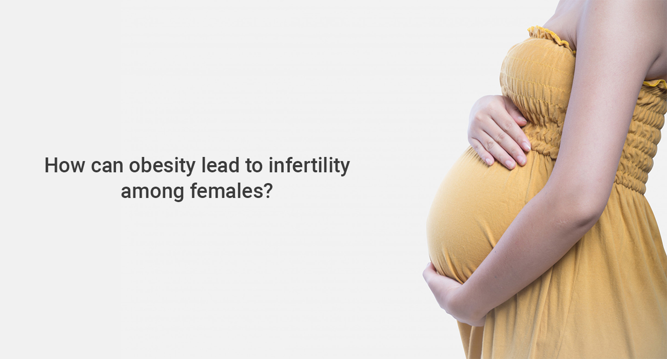 How can obesity lead to infertility among females?