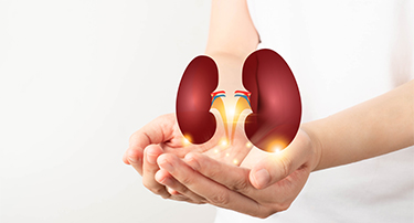 Are your Kidneys as healthy as you think they are?