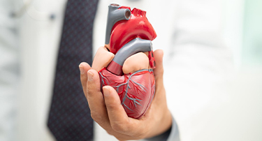 Heart Valve Replacement in India: Understanding Costs and Healthcare Concerns