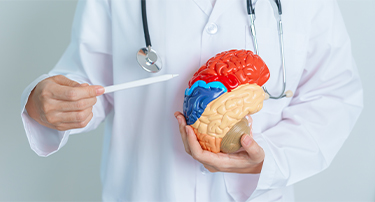 Neurosurgery for Brain Tumors: Diagnosis, Treatment Options, and Prognosis