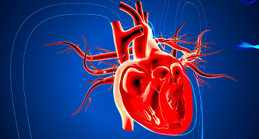 Types of Bypass Surgery: Exploring Coronary Artery Bypass Grafting (CABG) and Minimally Invasive Procedures