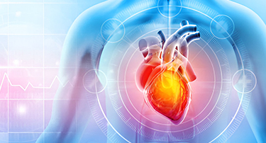 Understanding Cardiac Emergencies: Key Triggers and How to Prevent Them