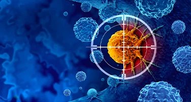 How Immunotherapy Works: Boosting The Immune System To Fight Cancer