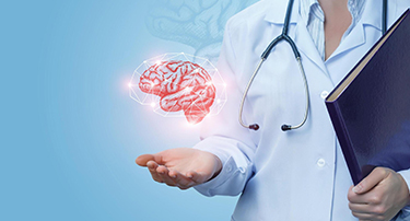 What Is The Difference Between The Left And The Right Brain?