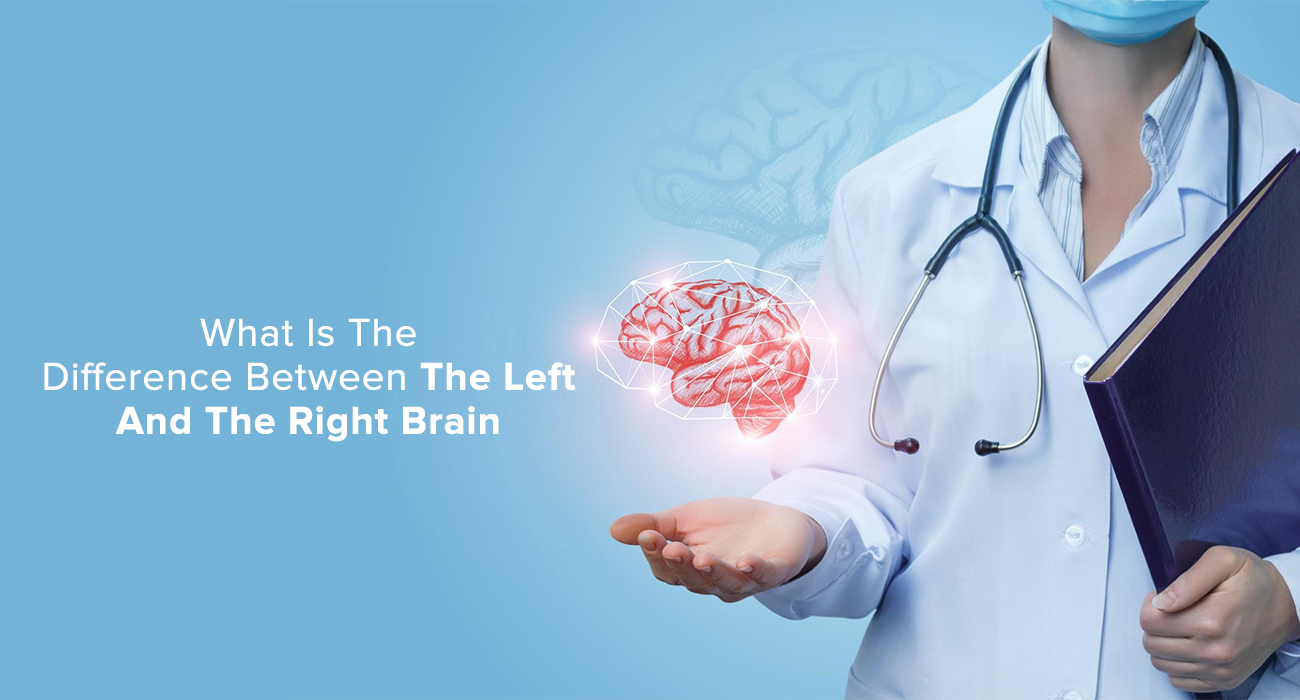 What Is The Difference Between The Left And The Right Brain?