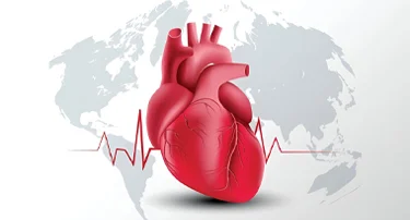 Lifestyle Modifications for Supporting Heart Health Post-Intervention
