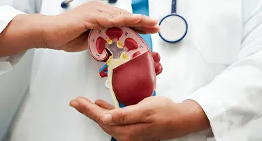 How Heart Disease Can Lead to Kidney Failure: The Hidden Risk