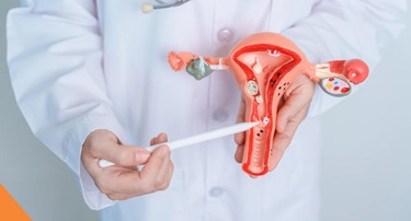 What Fibroid Size Is Dangerous? Signs You Need Treatment