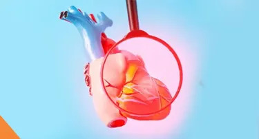 Living with Cardiomyopathy: Diagnosis, Management, and Care