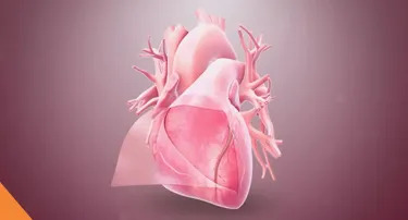 Pericardial Diseases: What Happens When the Heart’s Shield Fails