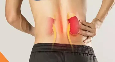 Kidney Disease in Youth: कम उम्र में क्यों बढ़ रही किडनी की बीमारी? जानिए नेफ्रोलॉजी एक्सपर्ट से इसके कारण और बचाव