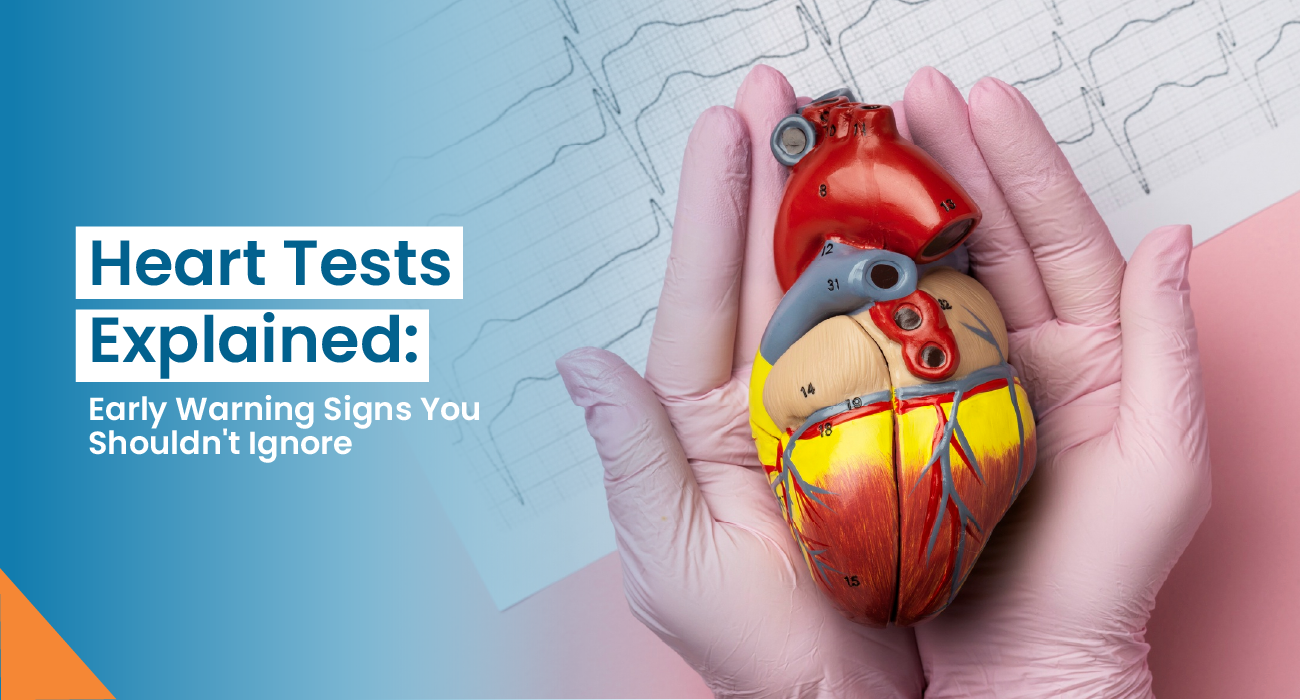 Heart Tests Explained: ECG, 2D Echo, TMT, and Coronary Angiography