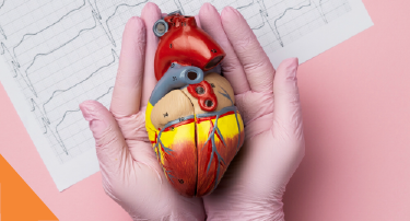<p>If your cardiologist in Jaipur has advised you to undergo any of these heart tests, such as an ECG test, 2D echo, TMT test, or coronary angiography.</p>
